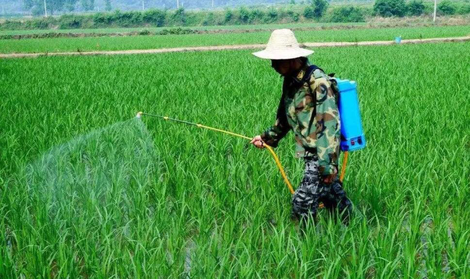 (圖:除草劑展示圖)
