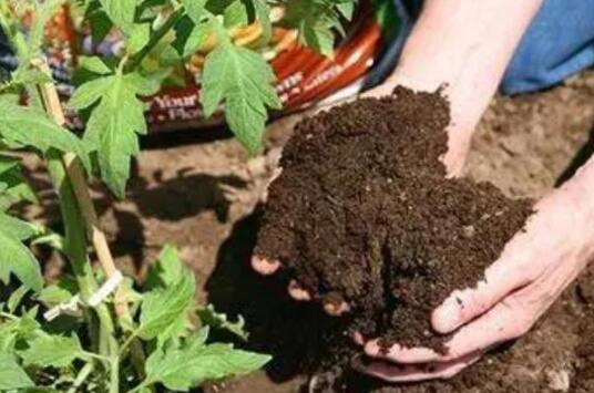 （圖：氨基酸肥應(yīng)用場景）